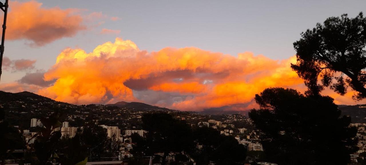 Chambre D Hote Avec Clim Terrasse Et Petit Dejeuner Hauteurs De Nice Eksteriør bilde