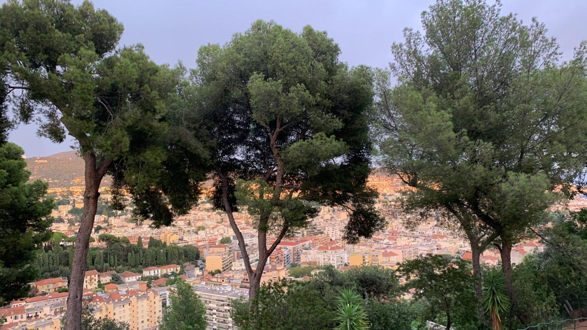 Chambre D Hote Avec Clim Terrasse Et Petit Dejeuner Hauteurs De Nice Eksteriør bilde